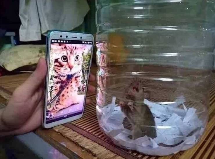 Смешные картинки 8 ноября 2021 года