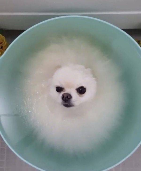 Смешные картинки 8 ноября 2021 года