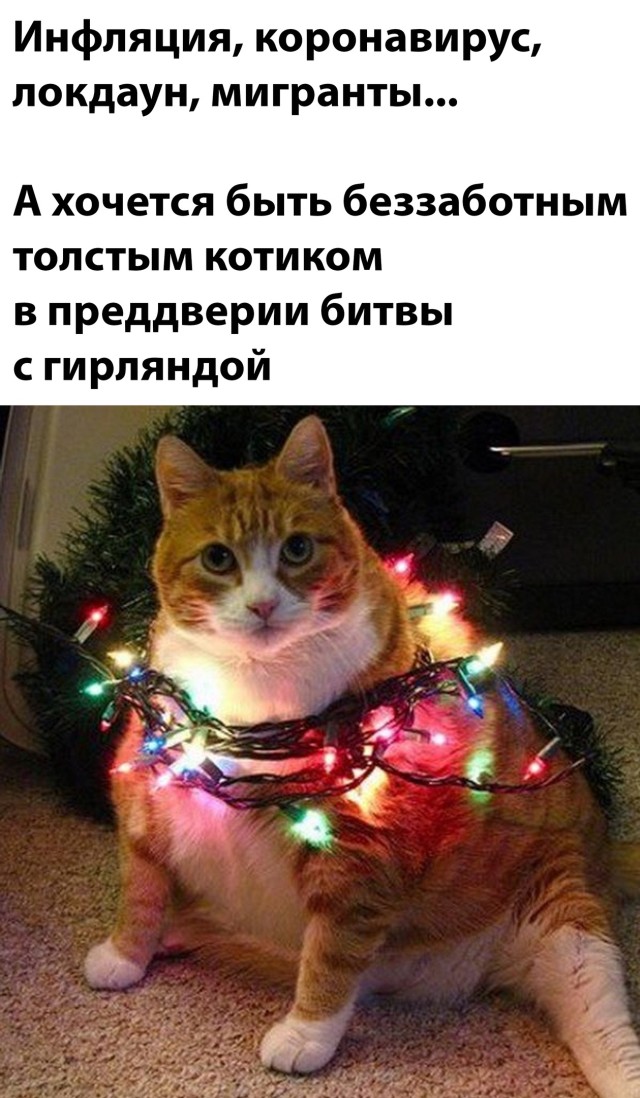 Смешные картинки 8 ноября 2021 года