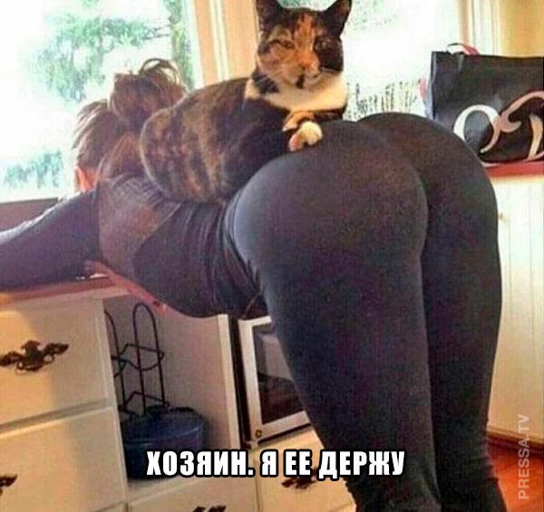 Картинки и мемы для настроения