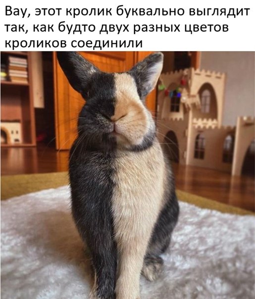 Картинки и мемы для настроения