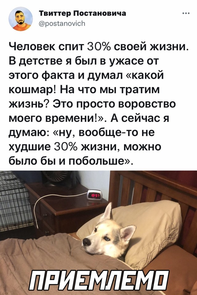 Смешные картинки 12 ноября 2021 года