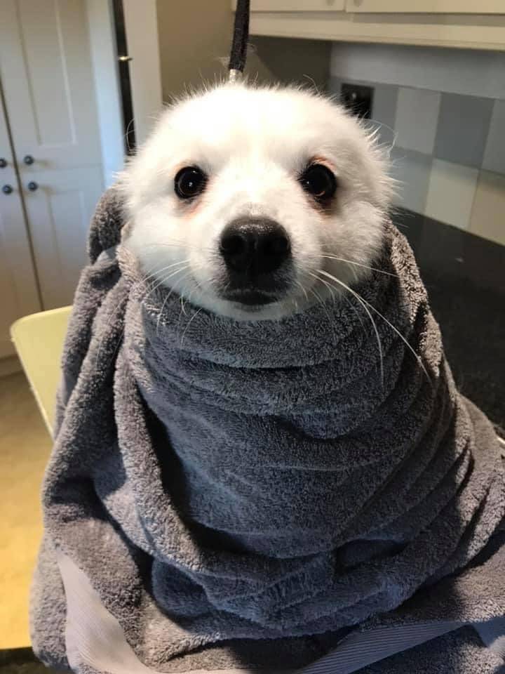 Смешные картинки 12 ноября 2021 года