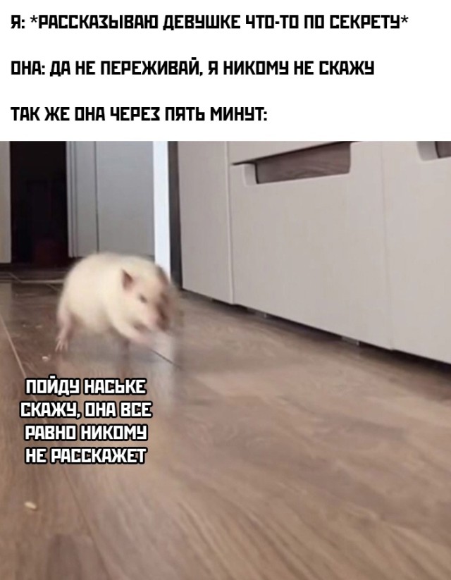 Смешные картинки 12 ноября 2021 года