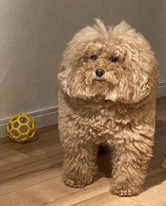 Смешные картинки 12 ноября 2021 года