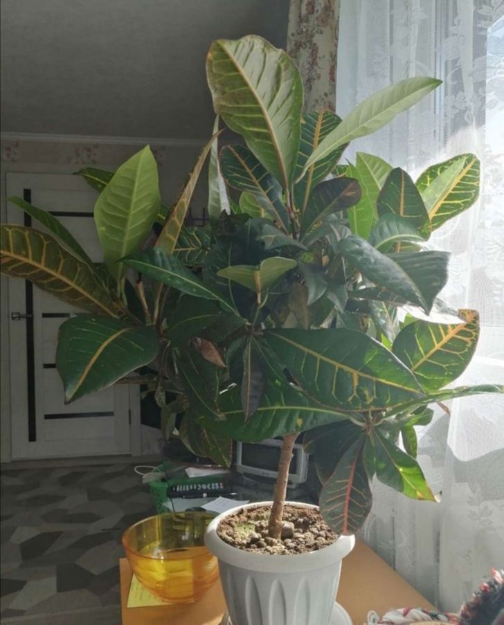 20+ человек, которые хотели что-то продать в интернете, а судьба решила подставить им ножку