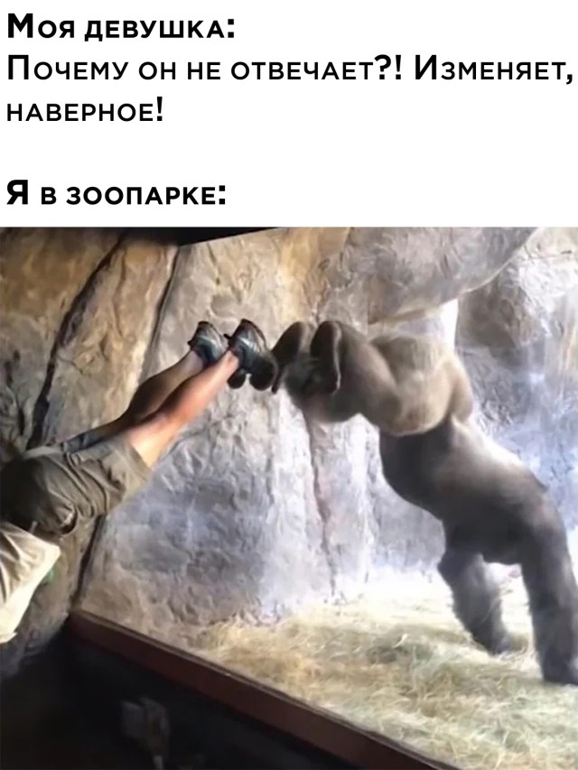 Смешные картинки 16 ноября 2021 года