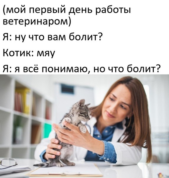 Весёлые