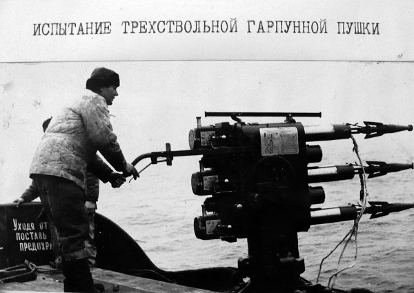 Морские разбойники или...