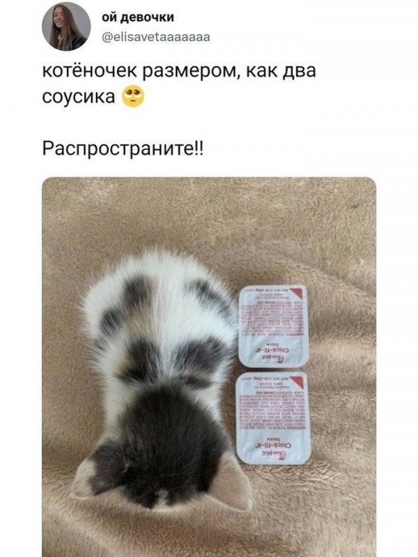 Скрины из соцсетей