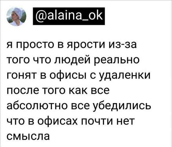 Скрины из соцсетей