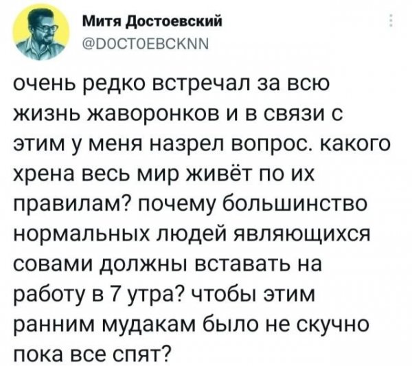 Скрины из соцсетей