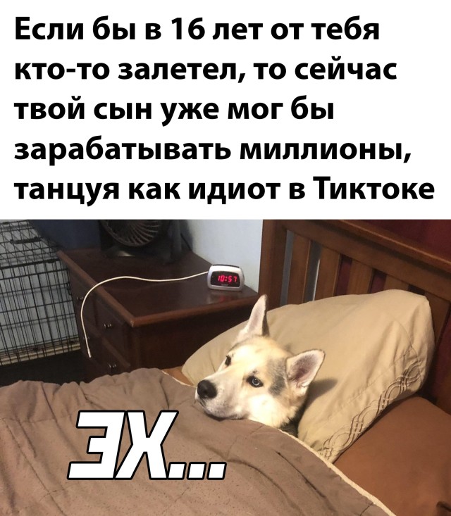 Смешные картинки 24 ноября 2021 года