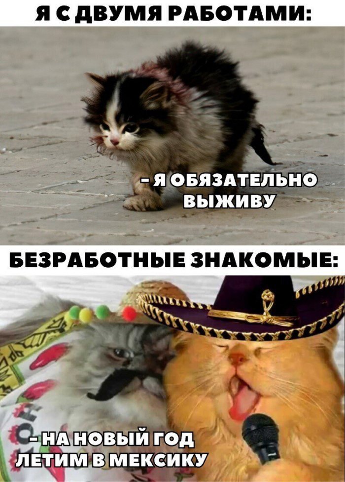 Офисный планктон поймет, или убойные ситуации про нас и наших любимых коллег