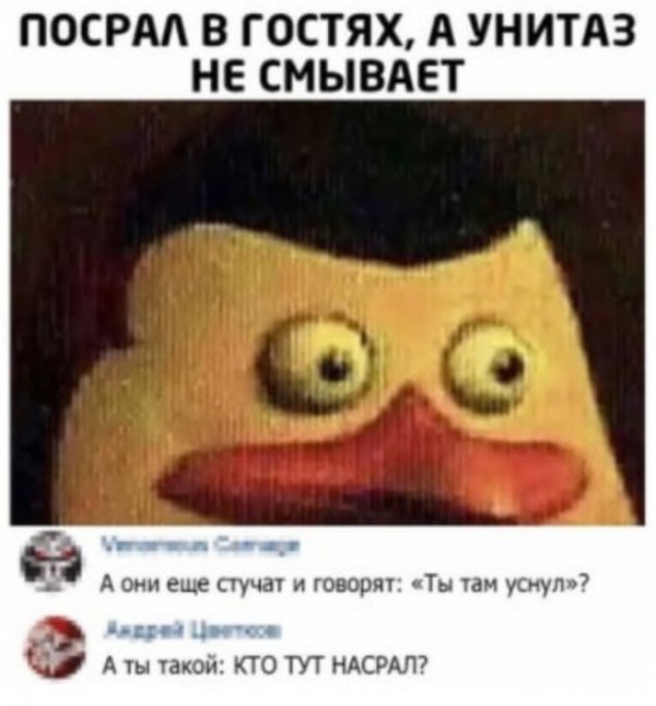 Бредзона