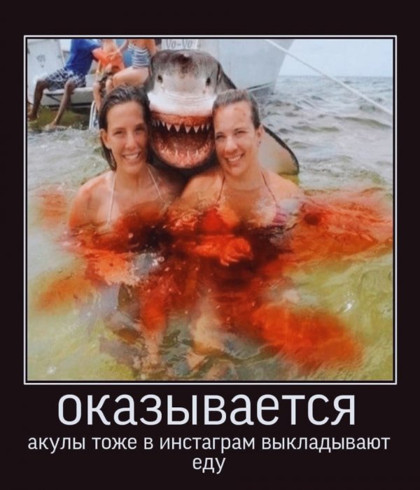 Нестандартный юмор :)