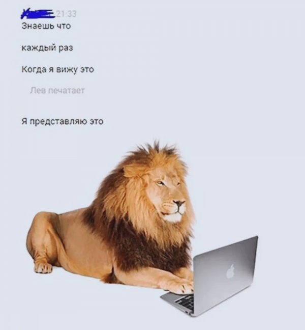 Нестандартный юмор :)