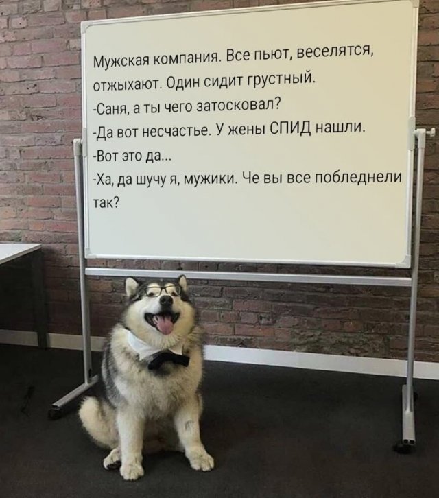 Немного странного и черного юмора