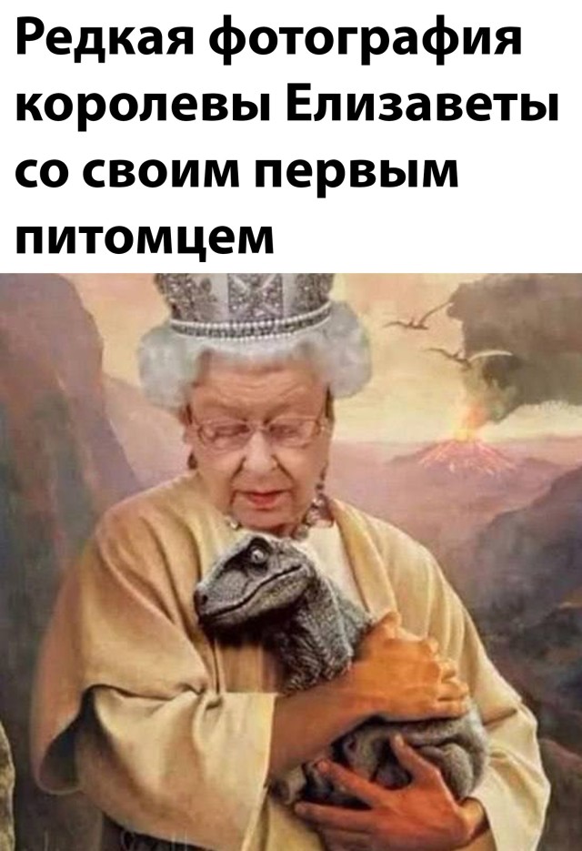 Смешные картинки 29 ноября 2021 года