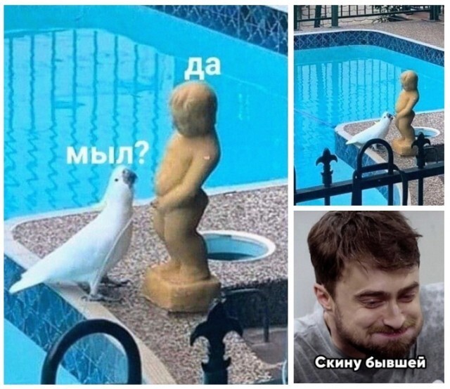 Подымаем субботнее настроение