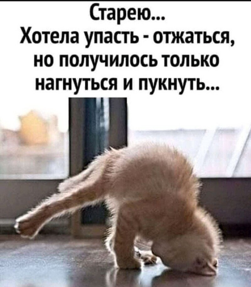 Подымаем субботнее настроение