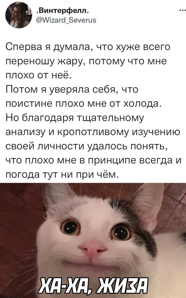 Смешные картинки вечер 6 декабря 2021 года