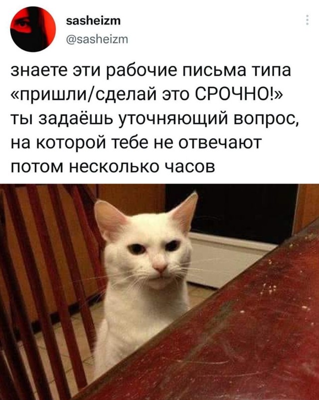 Смешные картинки вечер 6 декабря 2021 года