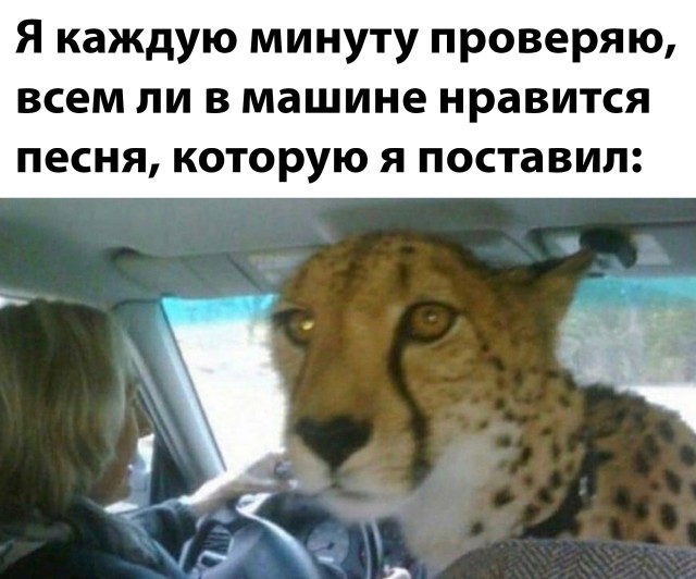 Смешные картинки 8 декабря 2021 года