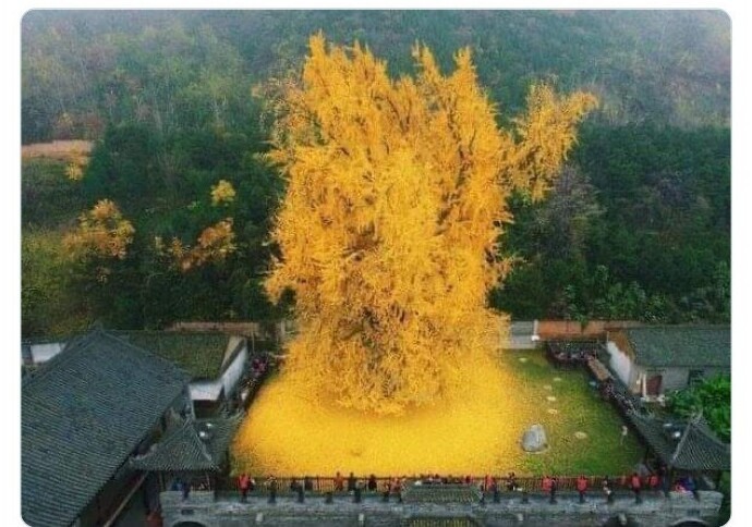 30 фактов, которые сделают мир интереснее