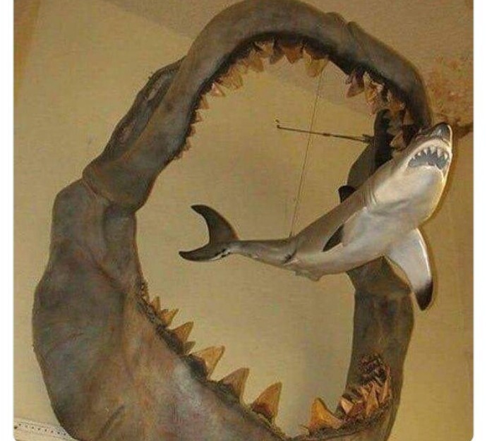 30 фактов, которые сделают мир интереснее