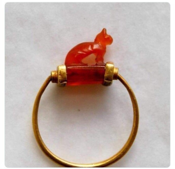 30 фактов, которые сделают мир интереснее