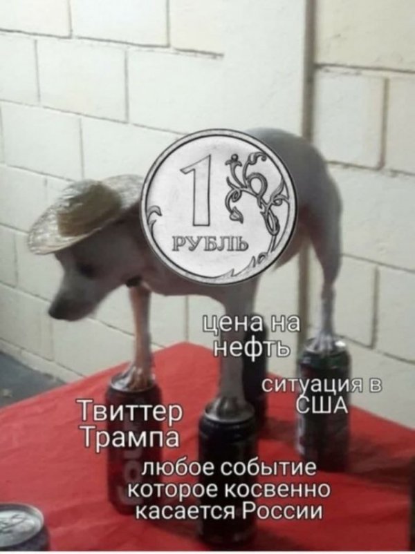 Шутки и мемы от финансовых экспертов