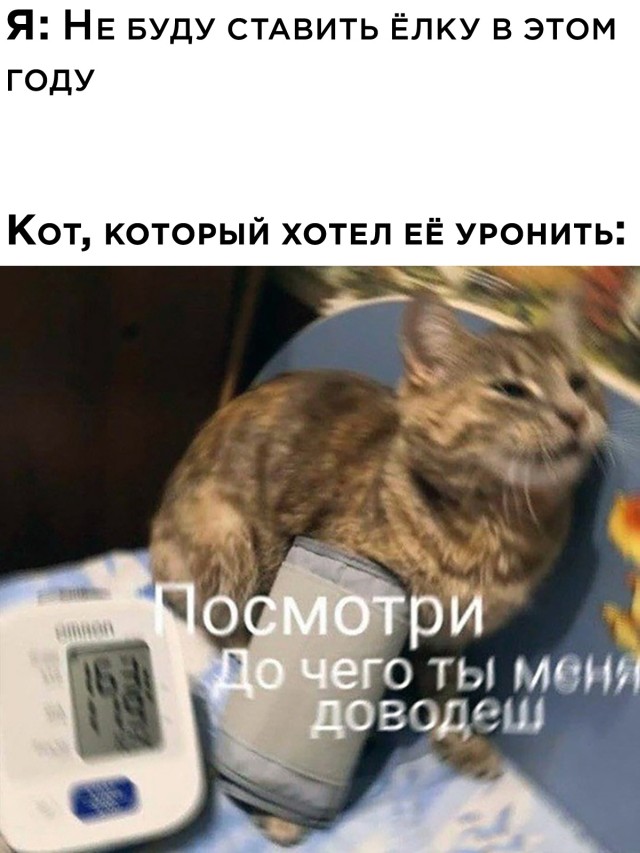 Смешные картинки 10 декабря 2021 года