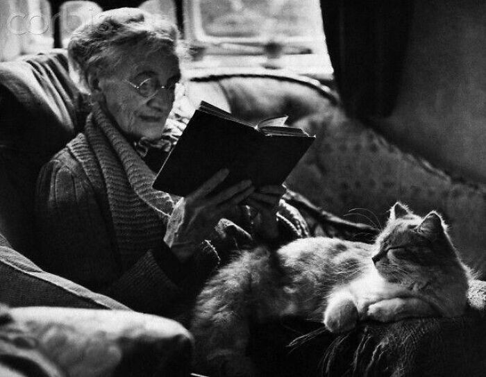 12. Пожилая женщина читает книгу с кошкой на коленях, 1944 год 12. Пожилая женщина читает книгу с кошкой на коленях, 1944 год