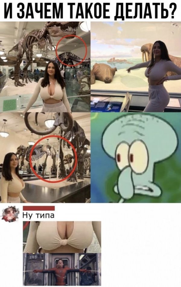 Смешные комментарии из социальных сетей