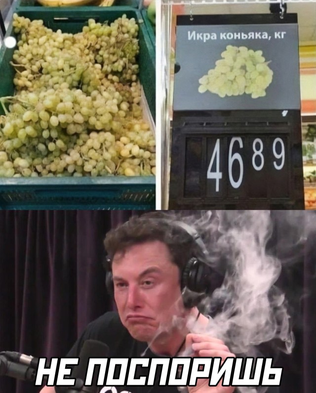 Смешные картинки 13 декабря 2021 года