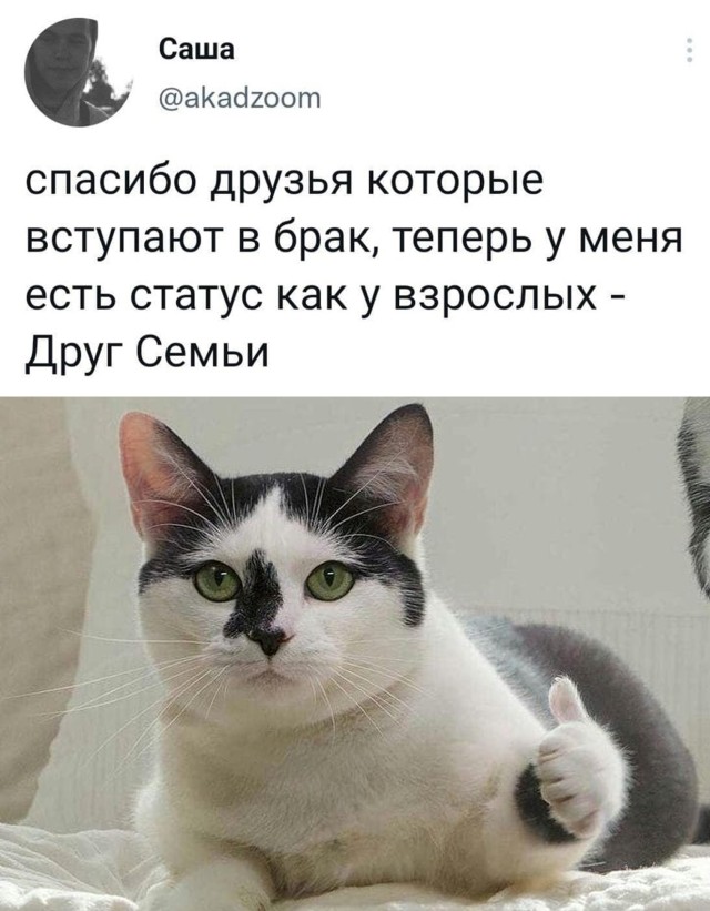 Смешные картинки 13 декабря 2021 года