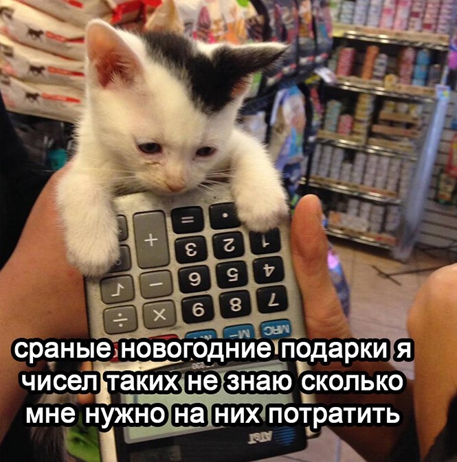 Смешные и познавательные картинки