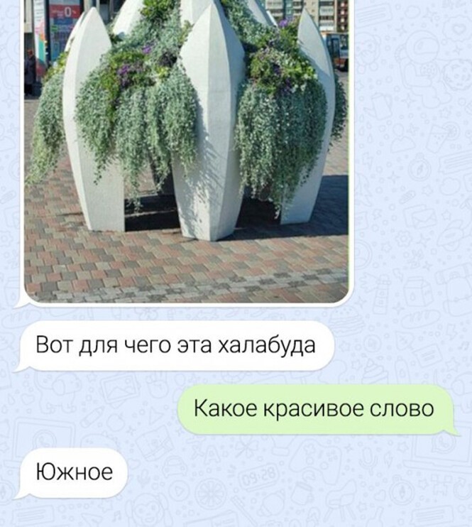 Смешные и познавательные картинки