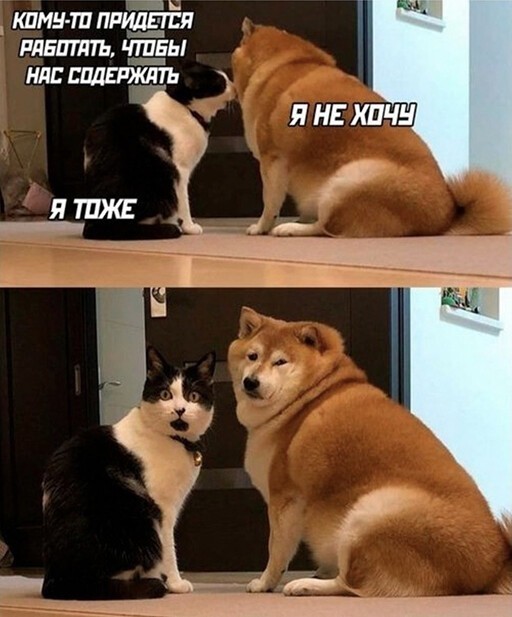 Смешные и познавательные картинки