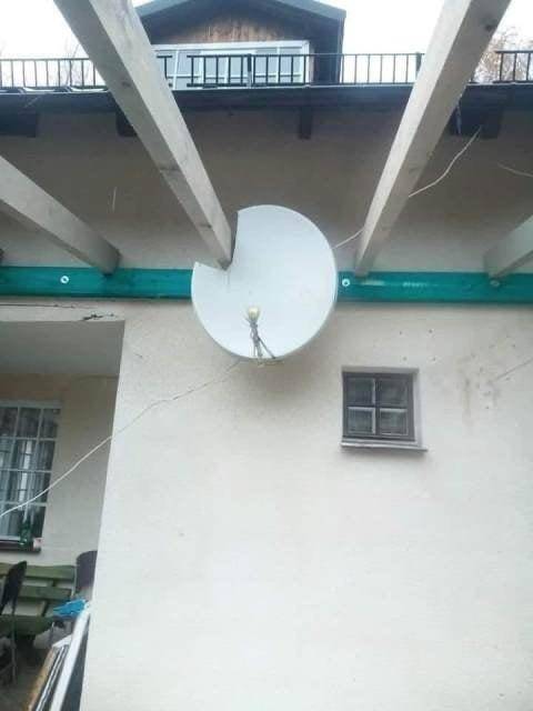 Смешные картинки 14 декабря 2021 года