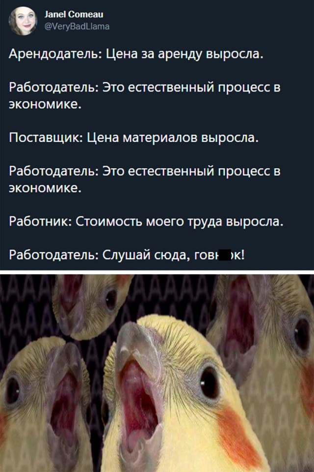 Смешные картинки 14 декабря 2021 года