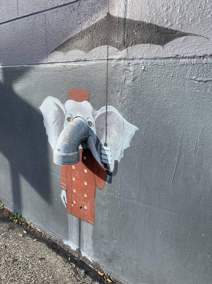 Смешные картинки 14 декабря 2021 года