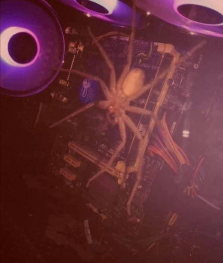 Смешные картинки 14 декабря 2021 года