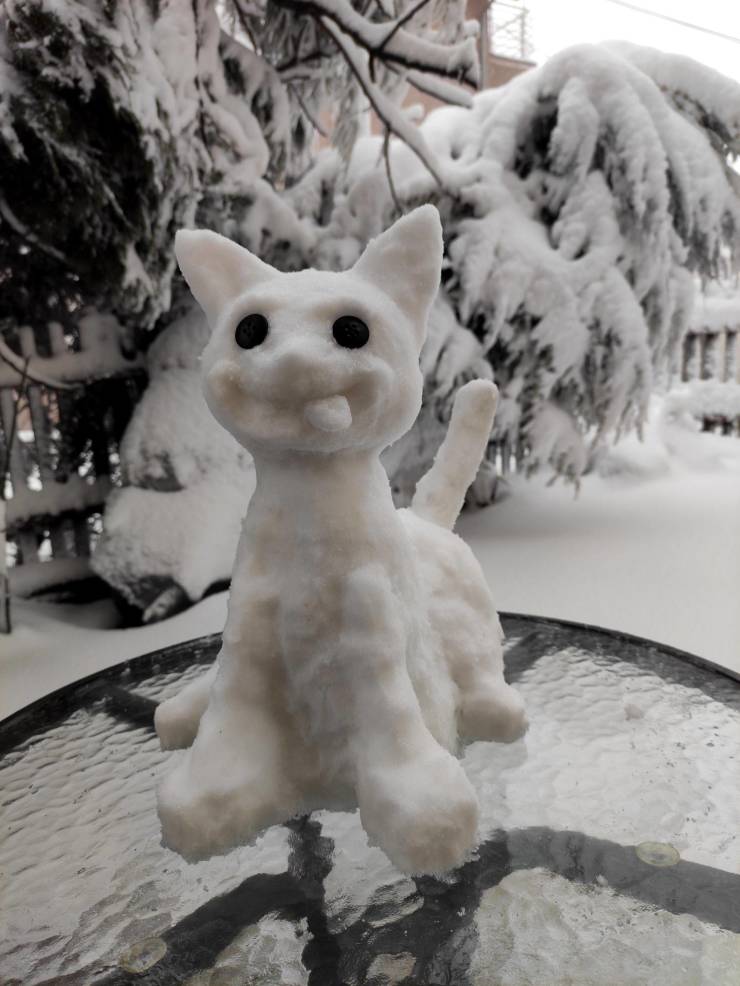 Смешные картинки 14 декабря 2021 года