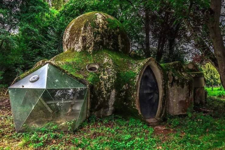 Смешные картинки 15 декабря 2021 года