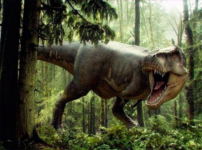 Самый большой динозавр. Почему ученые не могут прийти к общему мнению, кто именно им был