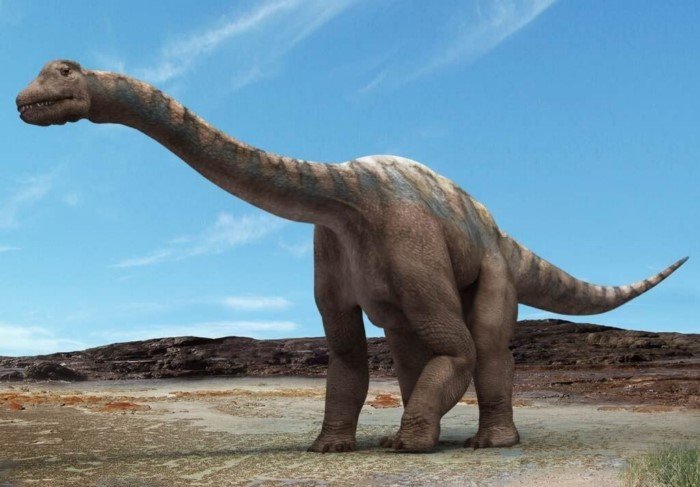 Самый большой динозавр. Почему ученые не могут прийти к общему мнению, кто именно им был