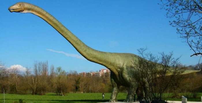 Самый большой динозавр. Почему ученые не могут прийти к общему мнению, кто именно им был