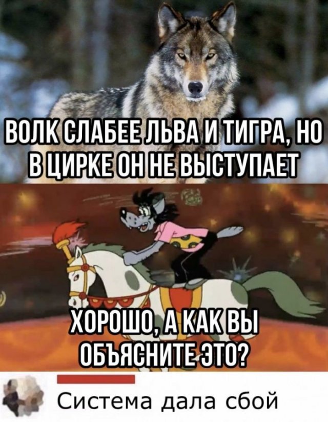 Смешные комментарии к постам в социальных сетях